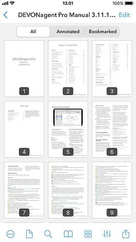 DTTG PDF Page Thumbnails