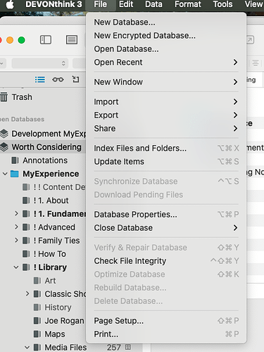 Verify and Repair Grayed Out